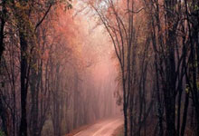 森林舞会:FIFA發錢啦!中超6家俱樂部獲超77萬美世界杯補貼金!孫準浩為山東貢獻21萬!.