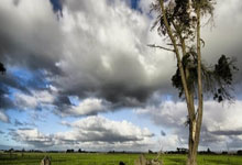 森林舞会:【足球】周六020德甲联赛推荐:多特蒙德VS柏林联合.