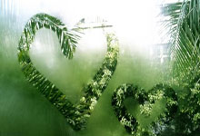 巴西世界杯大名單內馬爾領銜 9前鋒有7名首次參加世界杯.