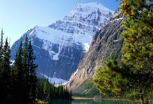 森林舞会:霍伊伦:能有充足睡眠 阿莫林把早报到时间延后.