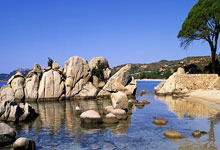 森林舞会:30球!维尔贝克追平格罗斯纪录,并列成为布莱顿队史英超射手王.